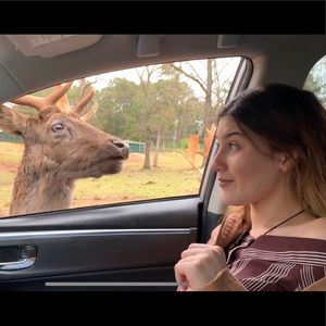 Meet your Posher, Diana